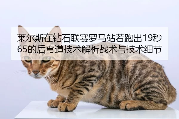 莱尔斯在钻石联赛罗马站若跑出19秒65的后弯道技术解析战术与技术细节